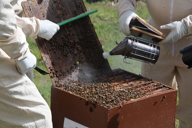 práce včelařů